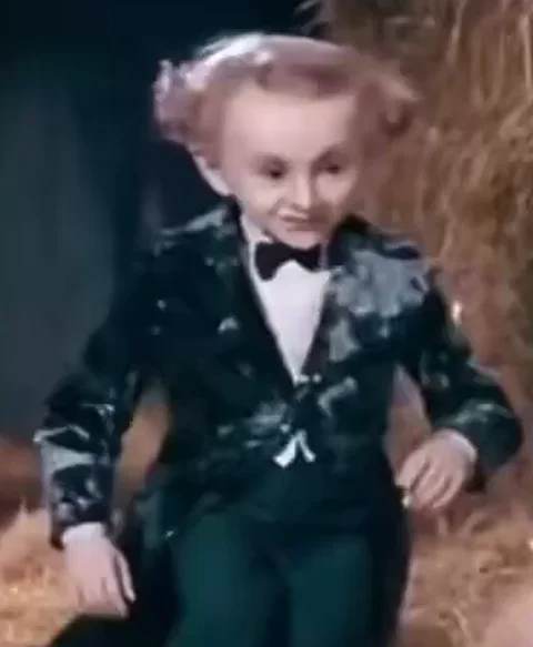 User-provided character reference: a pale-haired figure in a dark suit and bow tie